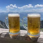 Jara Apartment- Appartement Ramsau am Dachstein