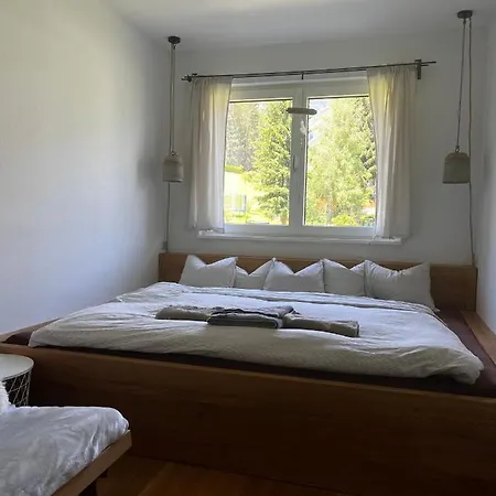 Jara Apartment- Lejlighed Ramsau am Dachstein