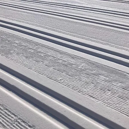 Jara Apartment- Ramsau am Dachstein