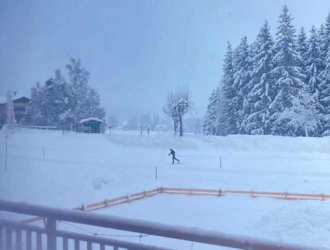 Apartment Jara Apartment-