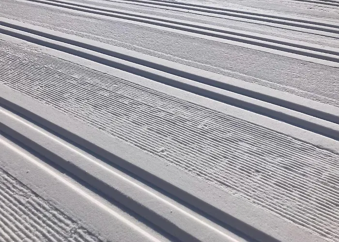 Jara Apartment- Ramsau am Dachstein