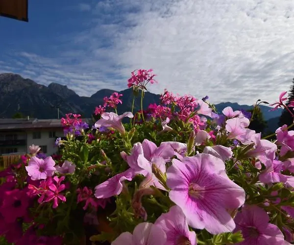 Jara Apartment- Apartment